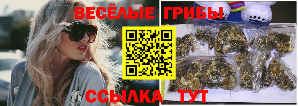 Галлюциногенные грибы Cubensis  Вход с VPN  Галлюциногенные грибы Psilocybine cubensis  Шахты 
